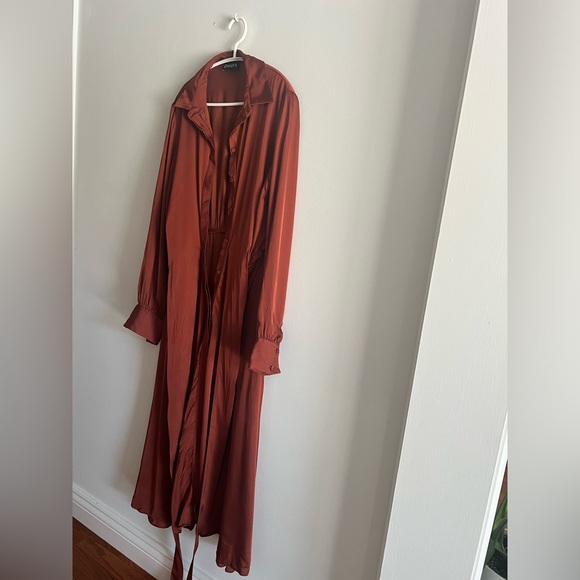 Silky Shirt dress with belt - Picture 2 of 7